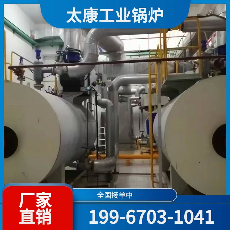 阜阳生物质导热油锅炉