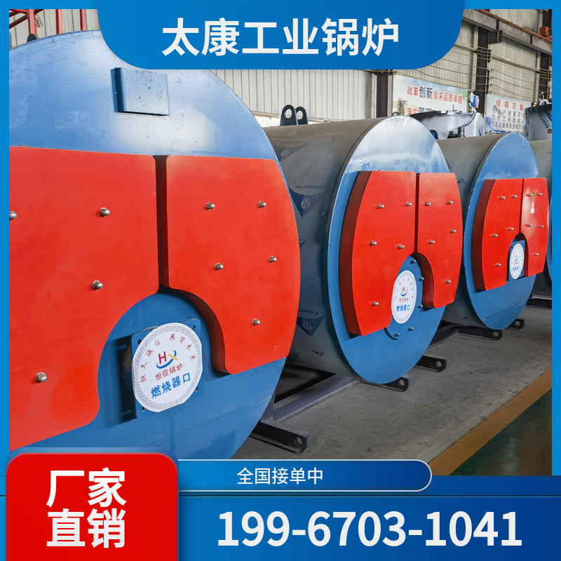 阜阳沼气锅炉