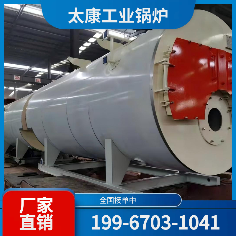 阜阳全预混低氮锅炉