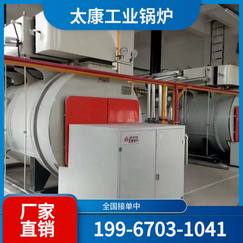 阜阳液化气锅炉